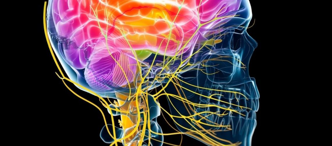 trauma - théorie polyvagale - coline ESCOFFIER - hypnose ericksonienne - hypnose transgénérationnelle - eft - magnétisme - ouest lyon - visio